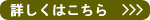 Q[@T̊Flց@ÃQ[@ViQ[@̔ڍ
